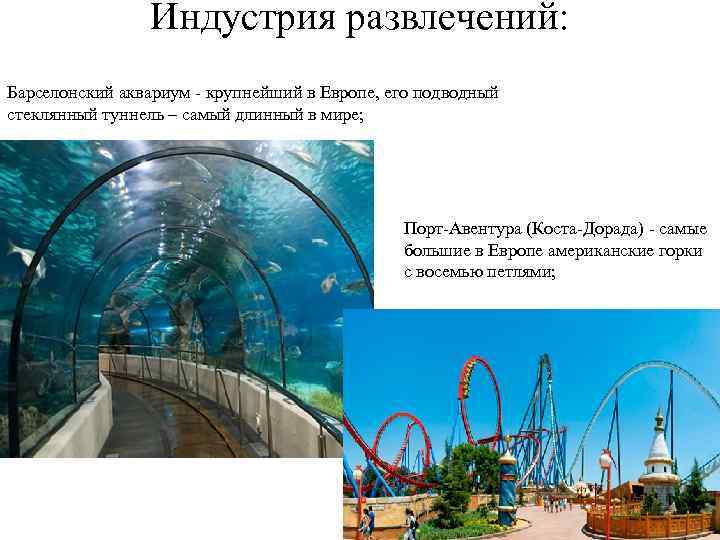Индустрия развлечений: Барселонский аквариум - крупнейший в Европе, его подводный стеклянный туннель – самый