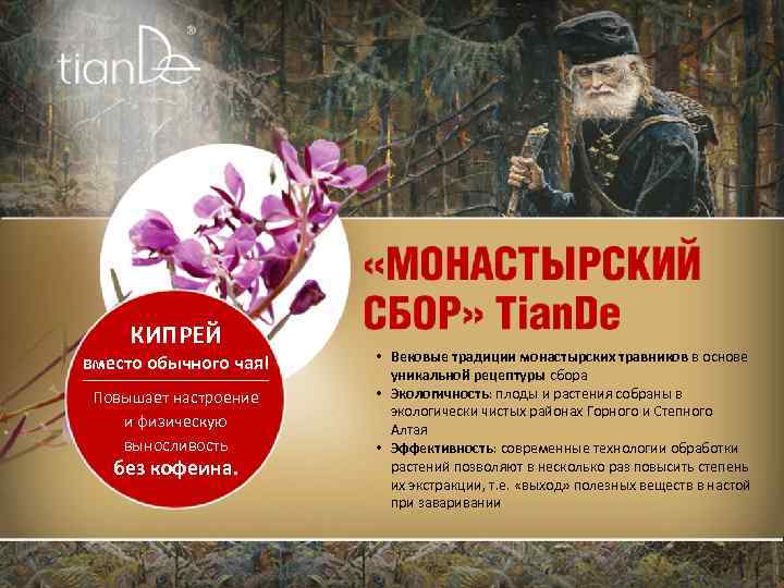 КИПРЕЙ вместо обычного чая! Повышает настроение и физическую выносливость без кофеина. • Вековые традиции