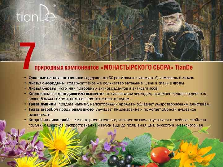 Сушеные плоды шиповника: содержат до 50 раз больше витамина С, чем спелый лимон Листья