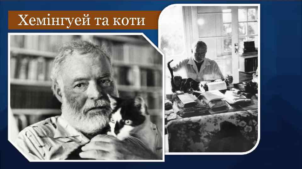 Хемінгуей та коти 