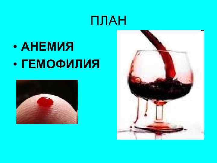 ПЛАН • АНЕМИЯ • ГЕМОФИЛИЯ 