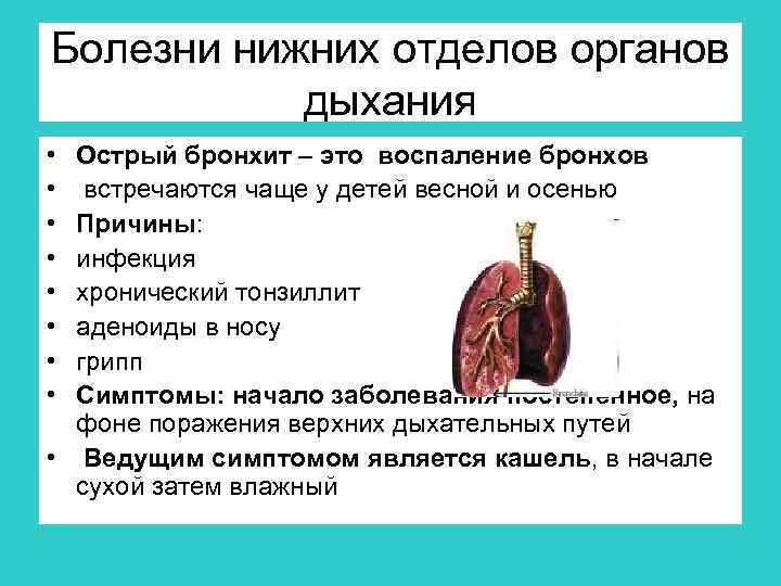 Болезни нижних отделов органов дыхания • • Острый бронхит – это воспаление бронхов встречаются