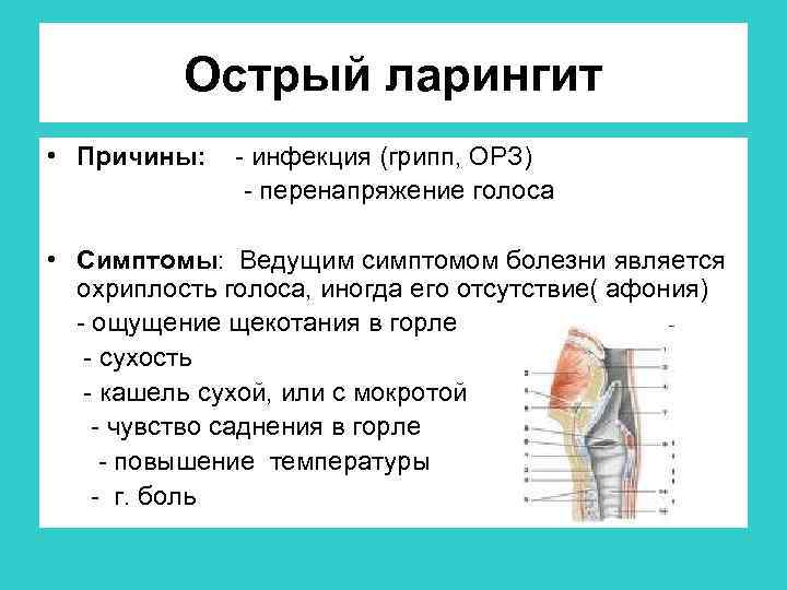 Острый ларингит • Причины: - инфекция (грипп, ОРЗ) - перенапряжение голоса • Симптомы: Ведущим