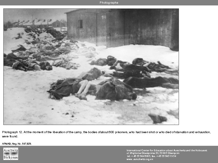 Photographs Photograph 12. At the moment of the liberation of the camp, the bodies