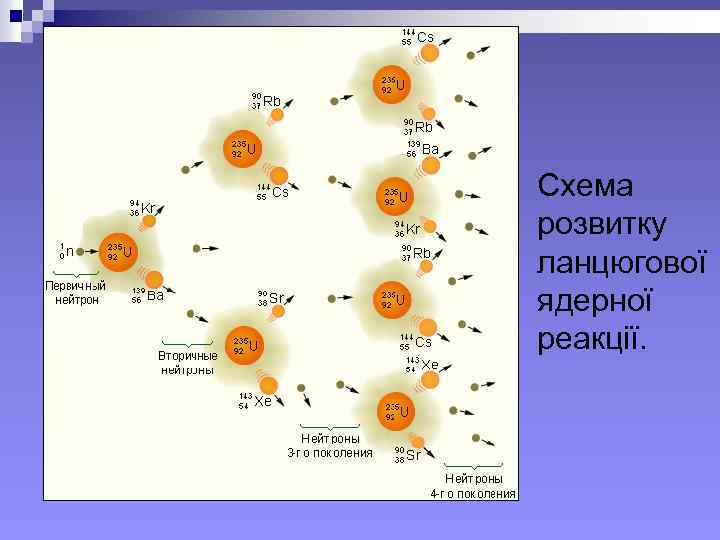 Схема розвитку ланцюгової ядерної реакції. 