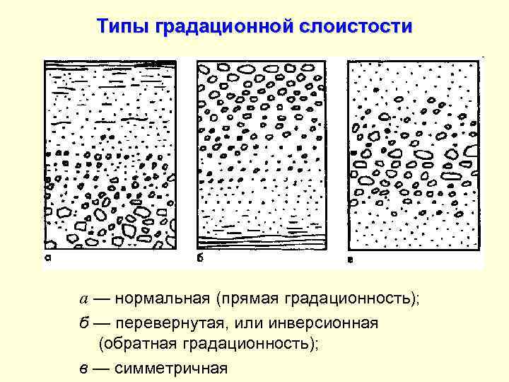 Типы градационной слоистости а — нормальная (прямая градационность); б — перевернутая, или инверсионная (обратная