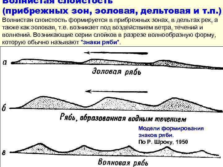 Волнистая слоистость (прибрежных зон, эоловая, дельтовая и т. п. ) Волнистая слоистость формируется в