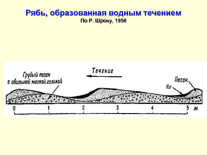 Рябь, образованная водным течением По Р. Шроку, 1950 