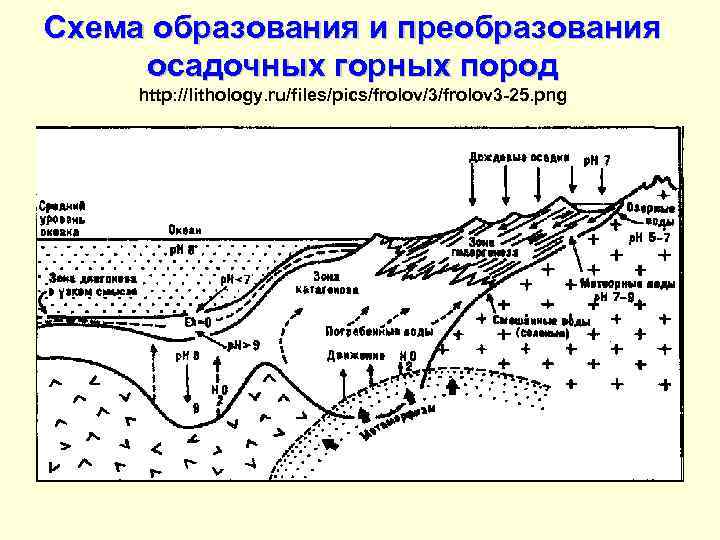 Схема образования и преобразования осадочных горных пород http: //lithology. ru/files/pics/frolov/3/frolov 3 -25. png 