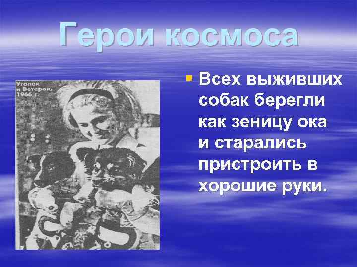 Герои космоса § Всех выживших собак берегли как зеницу ока и старались пристроить в