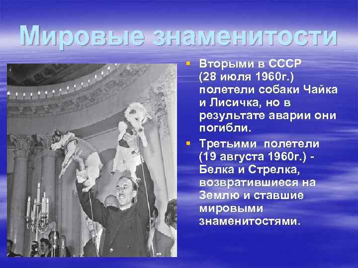 Мировые знаменитости § Вторыми в СССР (28 июля 1960 г. ) полетели собаки Чайка