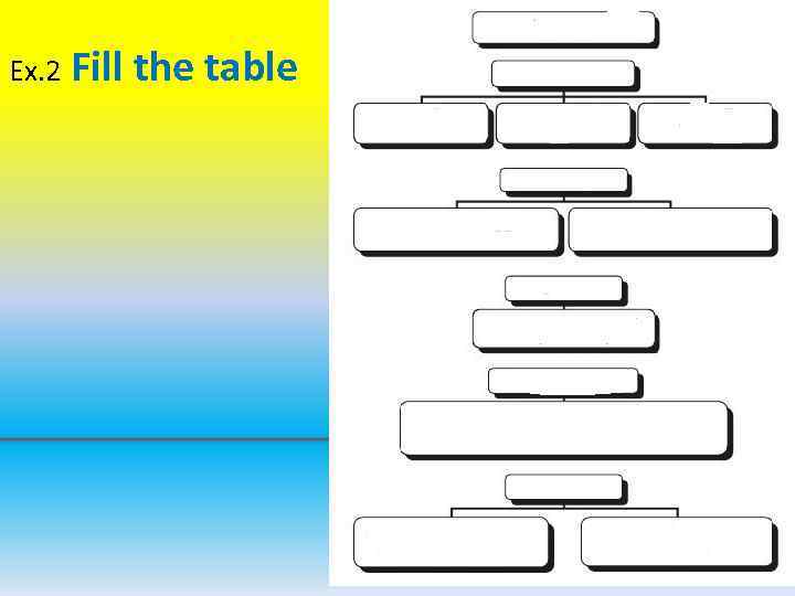 Ex. 2 Fill the table 