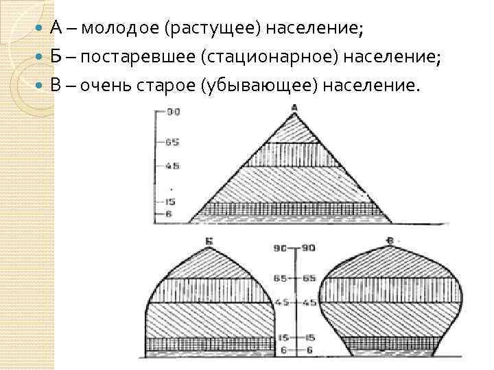 А – молодое (растущее) население; Б – постаревшее (стационарное) население; В – очень старое