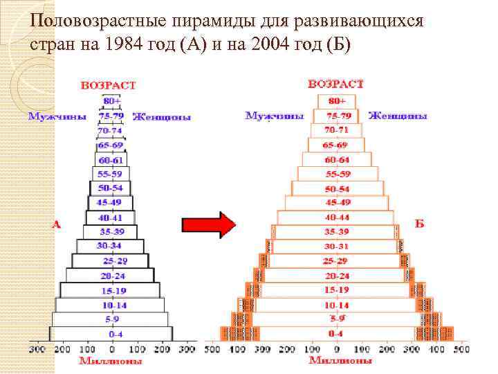 Половозрастные пирамиды для развивающихся стран на 1984 год (А) и на 2004 год (Б)