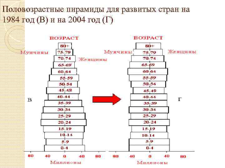 Половозрастные пирамиды для развитых стран на 1984 год (В) и на 2004 год (Г)