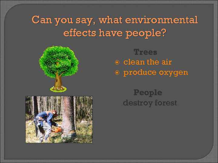 Can you say, what environmental effects have people? Trees clean the air produce oxygen