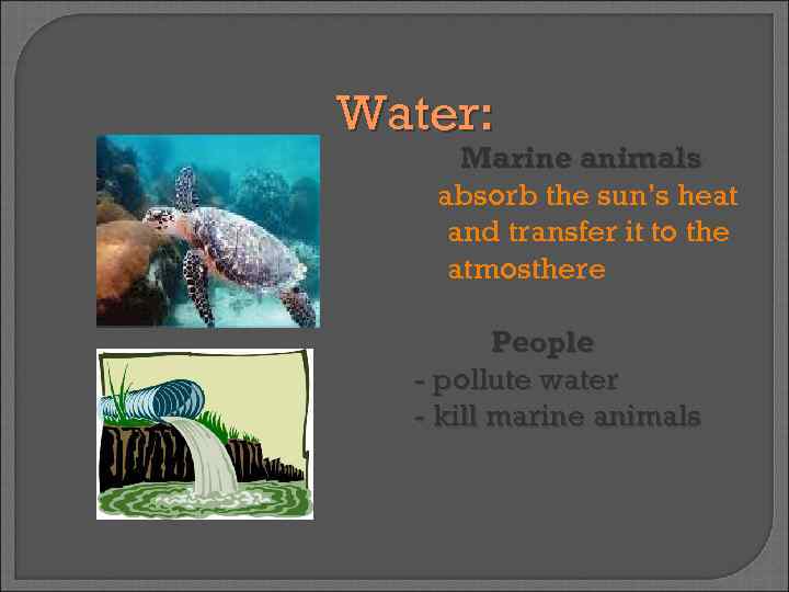 Water: Marine animals absorb the sun’s heat and transfer it to the atmosthere People