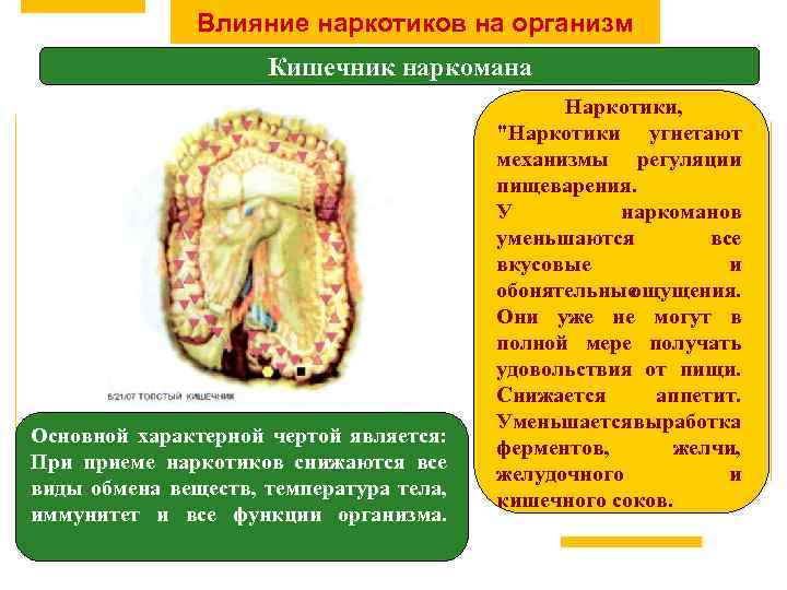 Влияние наркотиков на организм Кишечник наркомана Основной характерной чертой является: При приеме наркотиков снижаются