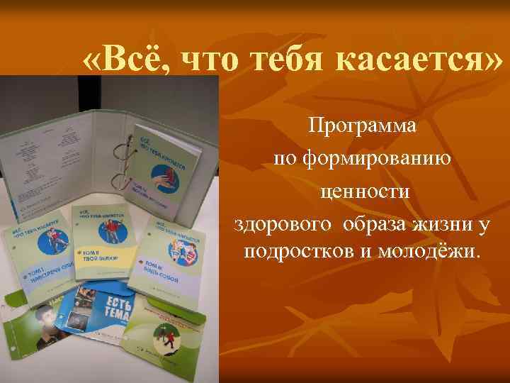  «Всё, что тебя касается» Программа по формированию ценности здорового образа жизни у подростков