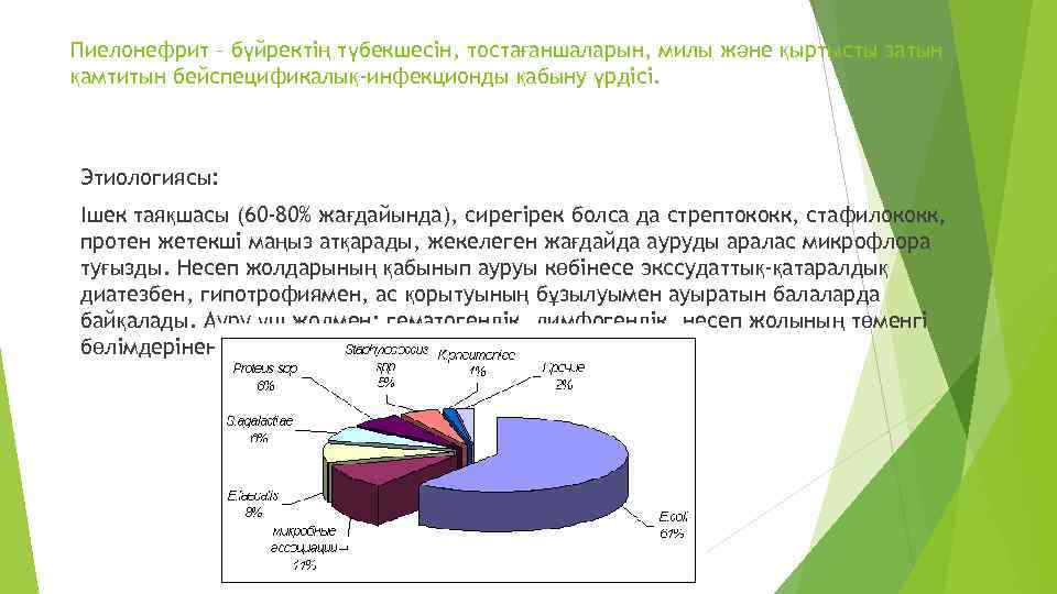 Пиелонефрит – бүйректің түбекшесін, тостағаншаларын, милы және қыртысты затын қамтитын бейспецификалық-инфекционды қабыну үрдісі. Этиологиясы: