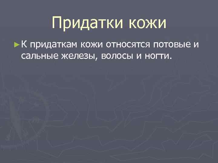 Придатки кожи ► К придаткам кожи относятся потовые и сальные железы, волосы и ногти.