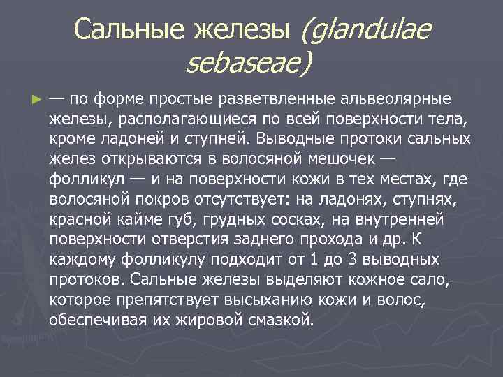 Сальные железы (glandulae sebaseae) ► — по форме простые разветвленные альвеолярные железы, располагающиеся по
