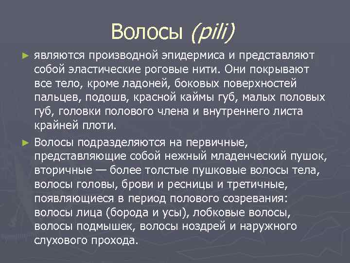 Волосы (pili) являются производной эпидермиса и представляют собой эластические роговые нити. Они покрывают все