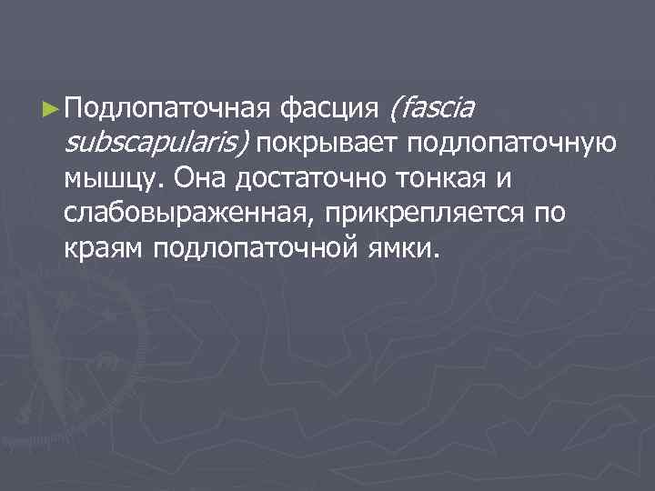 ► Подлопаточная фасция (fascia subscapularis) покрывает подлопаточную мышцу. Она достаточно тонкая и слабовыраженная, прикрепляется
