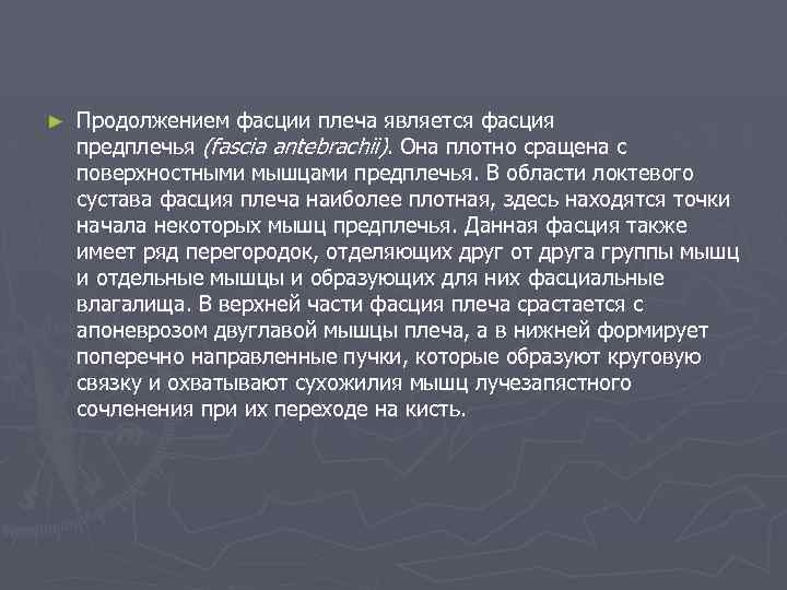 ► Продолжением фасции плеча является фасция предплечья (fascia antebrachii). Она плотно сращена с поверхностными