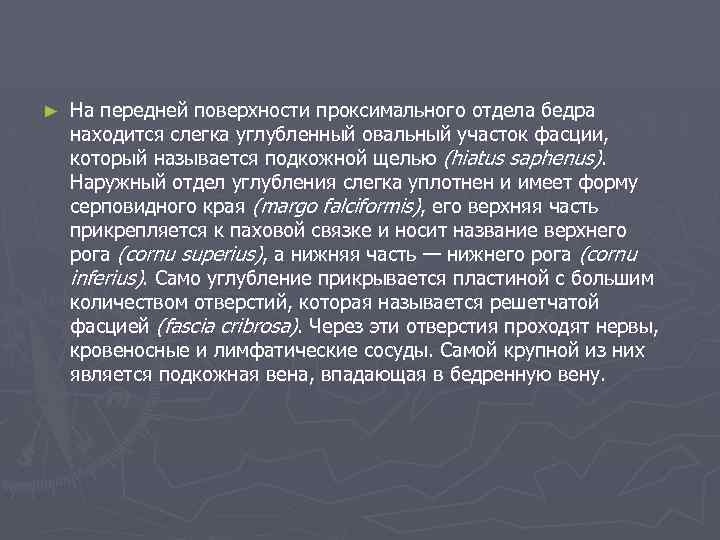 ► На передней поверхности проксимального отдела бедра находится слегка углубленный овальный участок фасции, который