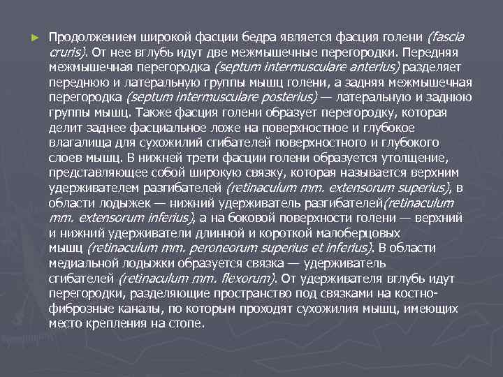 ► Продолжением широкой фасции бедра является фасция голени (fascia cruris). От нее вглубь идут