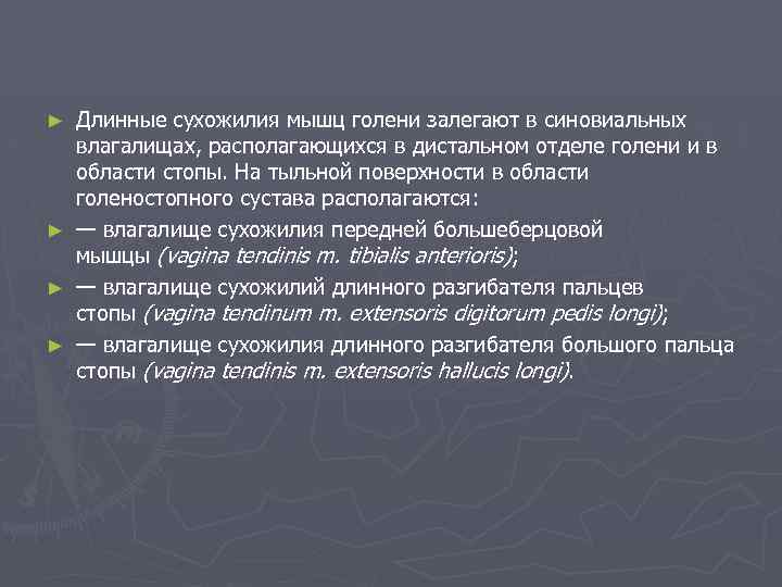 ► ► Длинные сухожилия мышц голени залегают в синовиальных влагалищах, располагающихся в дистальном отделе