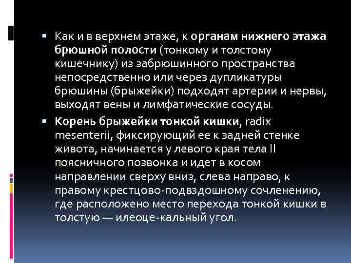  Как и в верхнем этаже, к органам нижнего этажа брюшной полости (тонкому и