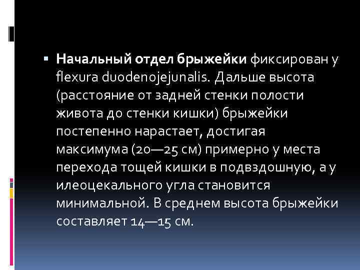  Начальный отдел брыжейки фиксирован у flexura duodenojejunalis. Дальше высота (расстояние от задней стенки
