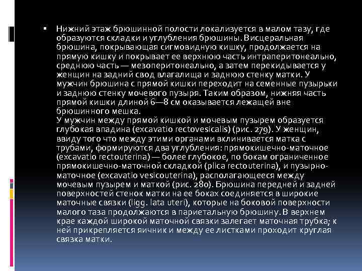  Нижний этаж брюшинной полости локализуется в малом тазу, где образуются складки и углубления