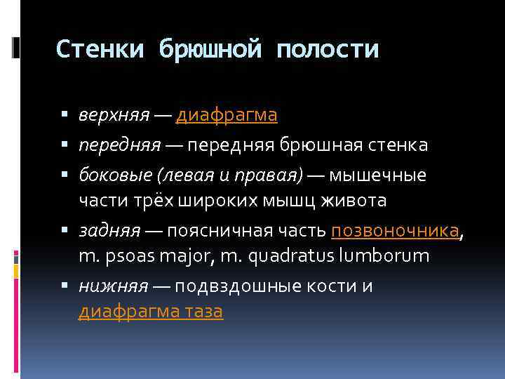 Стенки брюшной полости верхняя — диафрагма передняя — передняя брюшная стенка боковые (левая и