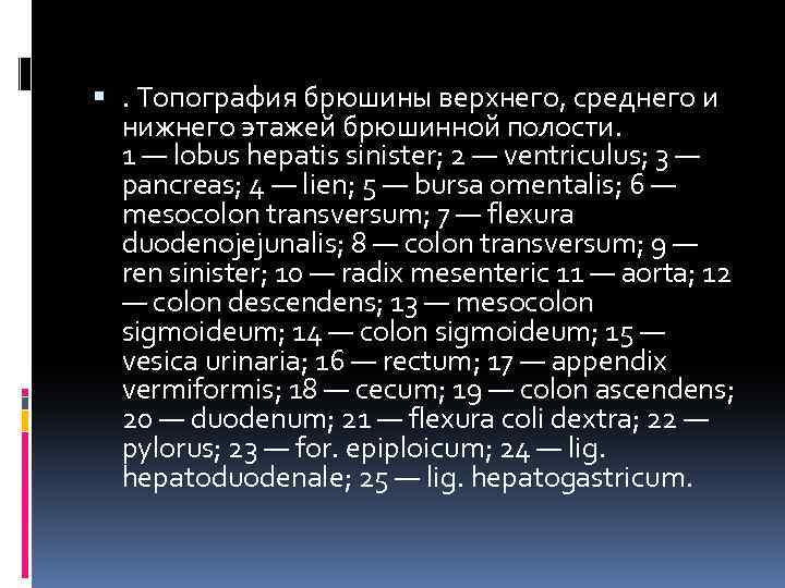  . Топография брюшины верхнего, среднего и нижнего этажей брюшинной полости. 1 — lobus
