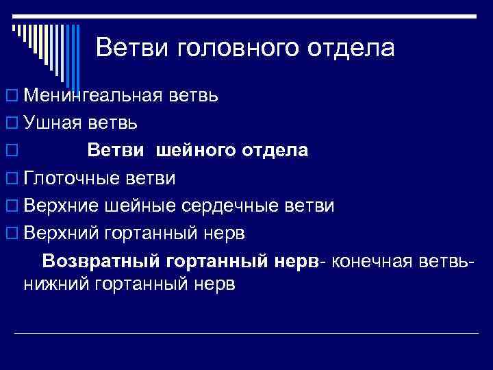 Ветви головного отдела o Менингеальная ветвь o Ушная ветвь Ветви шейного отдела o Глоточные