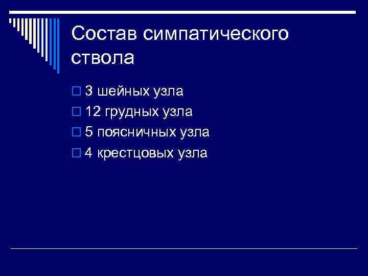 Состав симпатического ствола o 3 шейных узла o 12 грудных узла o 5 поясничных