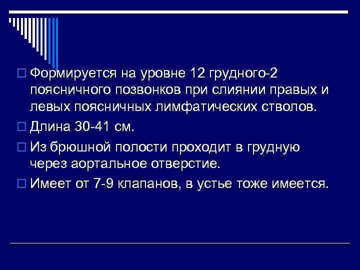 o Формируется на уровне 12 грудного-2 поясничного позвонков при слиянии правых и левых поясничных