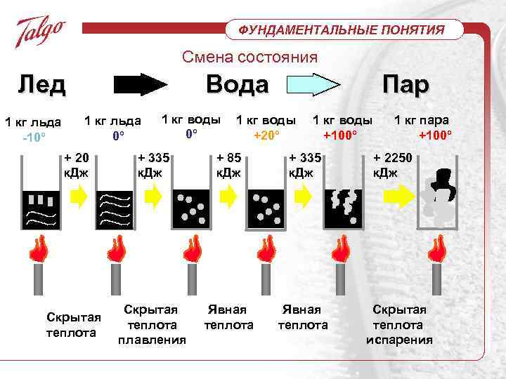 ФУНДАМЕНТАЛЬНЫЕ ПОНЯТИЯ Смена состояния Лед 1 кг льда -10° Вода 1 кг льда 0°