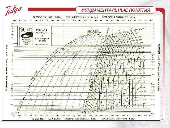 ФУНДАМЕНТАЛЬНЫЕ ПОНЯТИЯ 