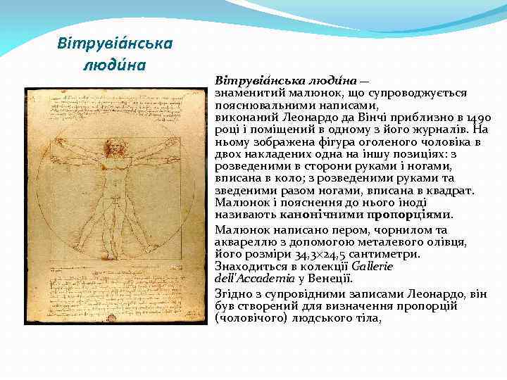 Вітрувіа нська люди на — знаменитий малюнок, що супроводжується пояснювальними написами, виконаний Леонардо да