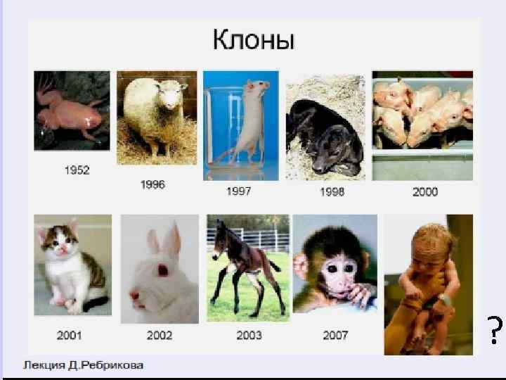 KIl. OHbl 195 2 199 6 200 1 2 Лекция Д. Ребрикова 199 7