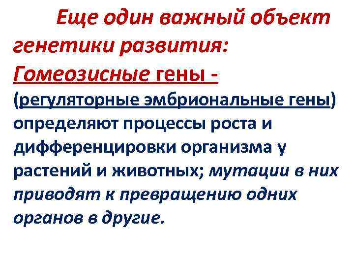  Еще один важный объект генетики развития: Гомеозисные гены - (регуляторные эмбриональные гены) определяют