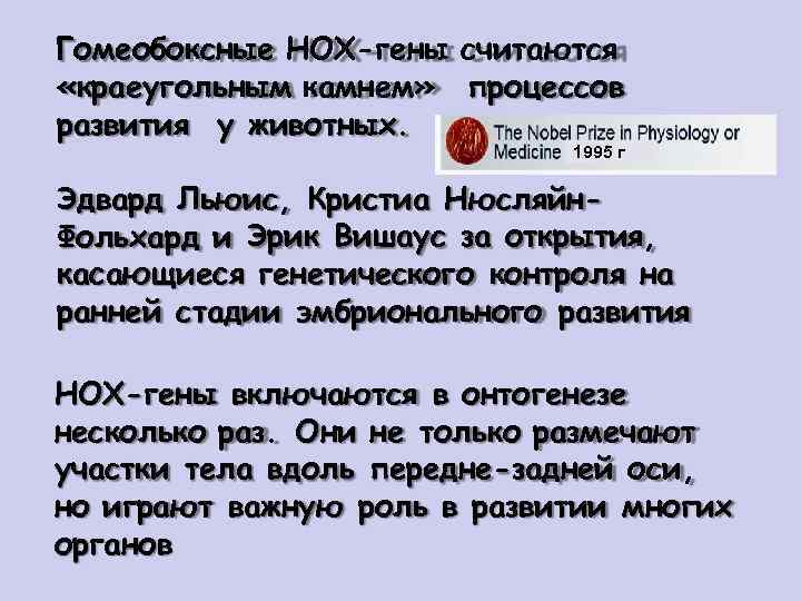 Гомеобоксные НОХ-гены считаются «краеугольным камнем» процессов развития у животных. 1995 г Эдвард Льюис, Кристиа