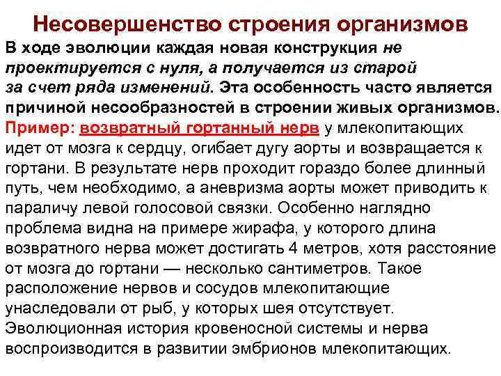 Несовершенство строения организмов В ходе эволюции каждая новая конструкция не проектируется с нуля, а