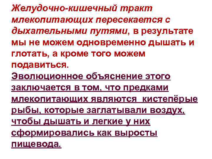 Желудочно-кишечный тракт млекопитающих пересекается с дыхательными путями, в результате мы не можем одновременно дышать