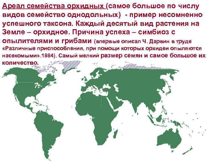 Ареал семейства орхидных (самое большое по числу видов семейство однодольных) - пример несомненно успешного