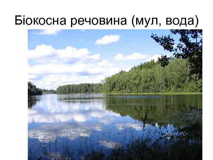 Біокосна речовина (мул, вода) 